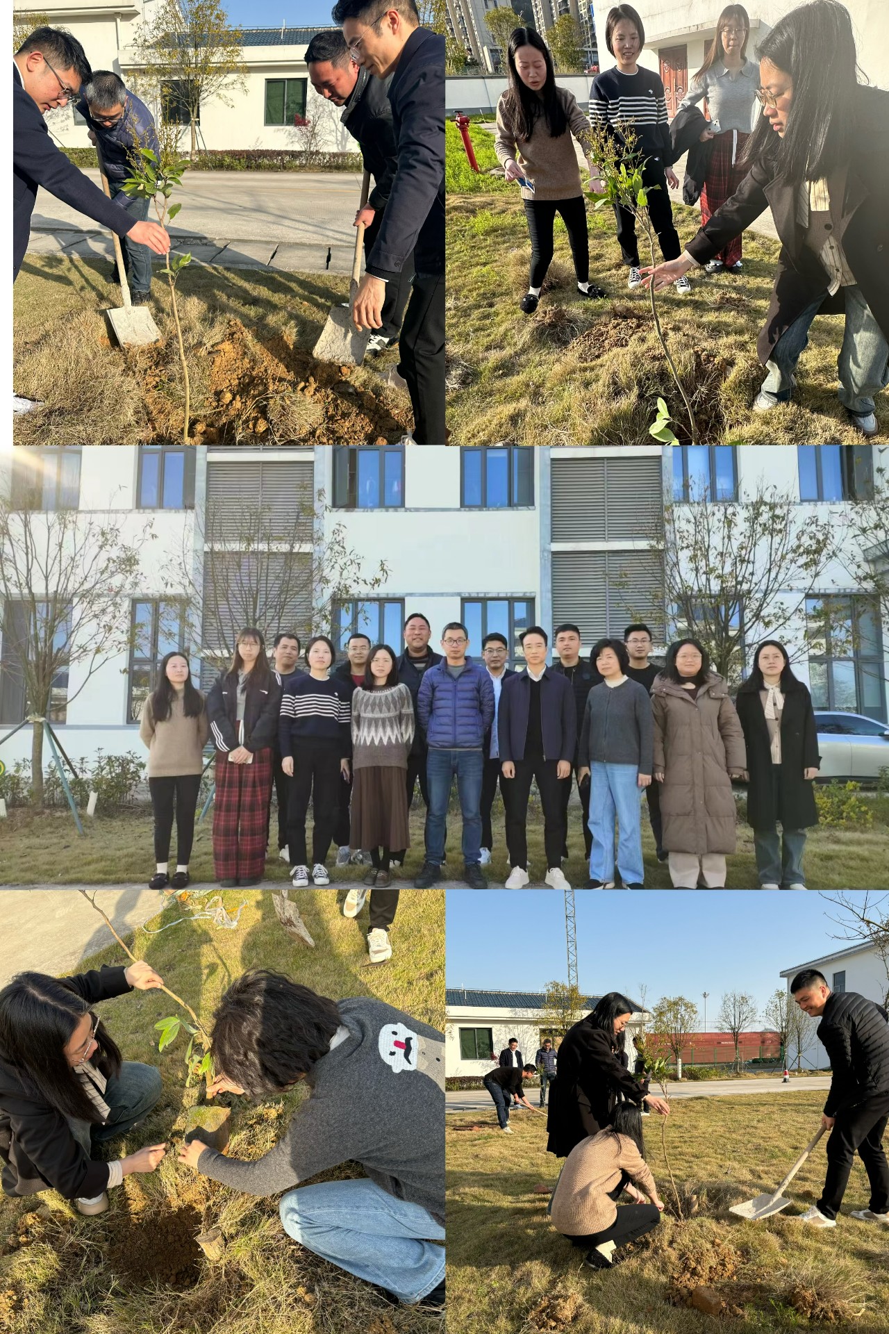 2024-3-12綠色陸港，美麗寧德，阮克妙拍攝.jpg